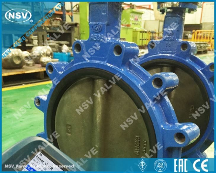 Hastelloy C22 Butterfly Valve