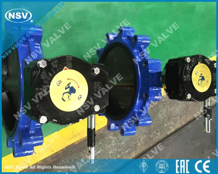 Hastelloy C22 Butterfly Valve