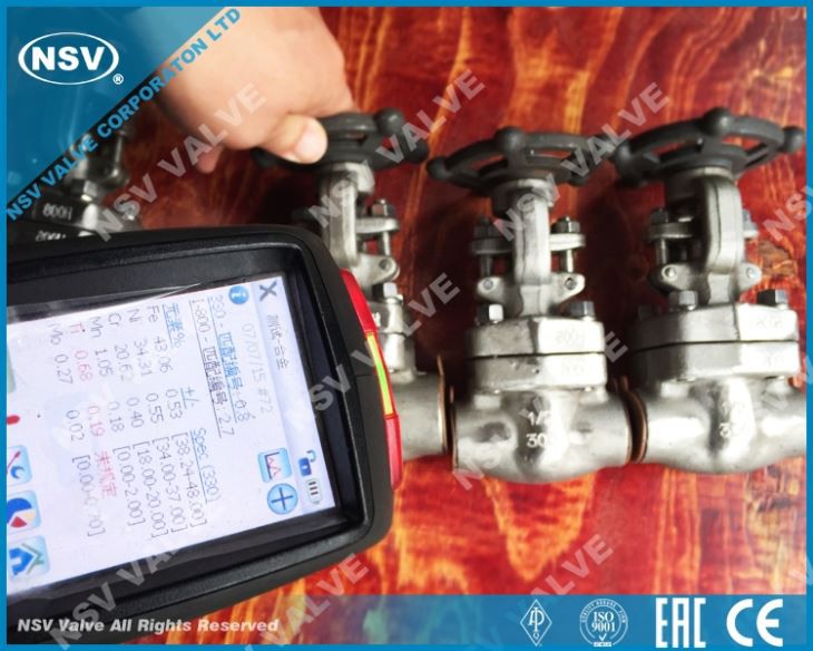 Incoloy 800H Gate Valve