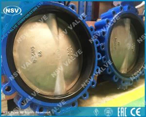 Hastelloy G30 버터 플라이 밸브