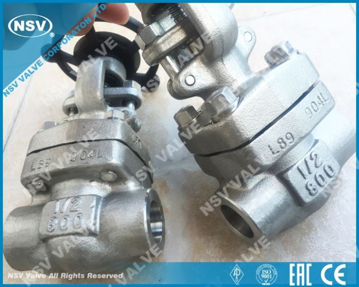 SS904L Gate Valve