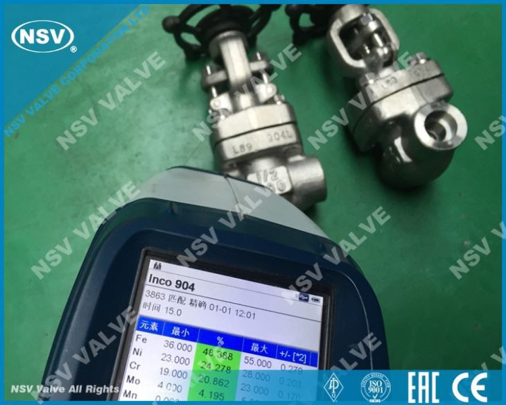 SS904L Gate Valve